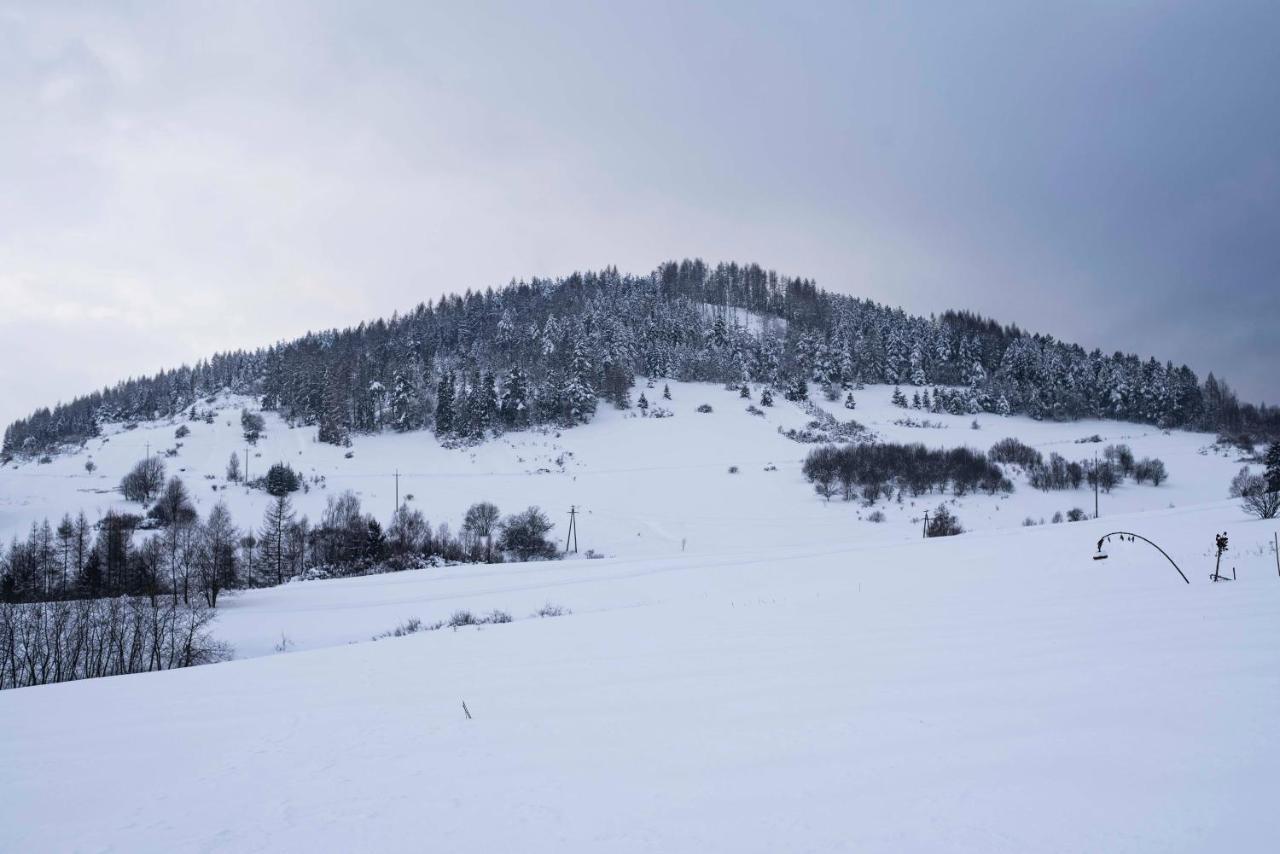 Domki Pod Wulkanem Krosnica  Esterno foto