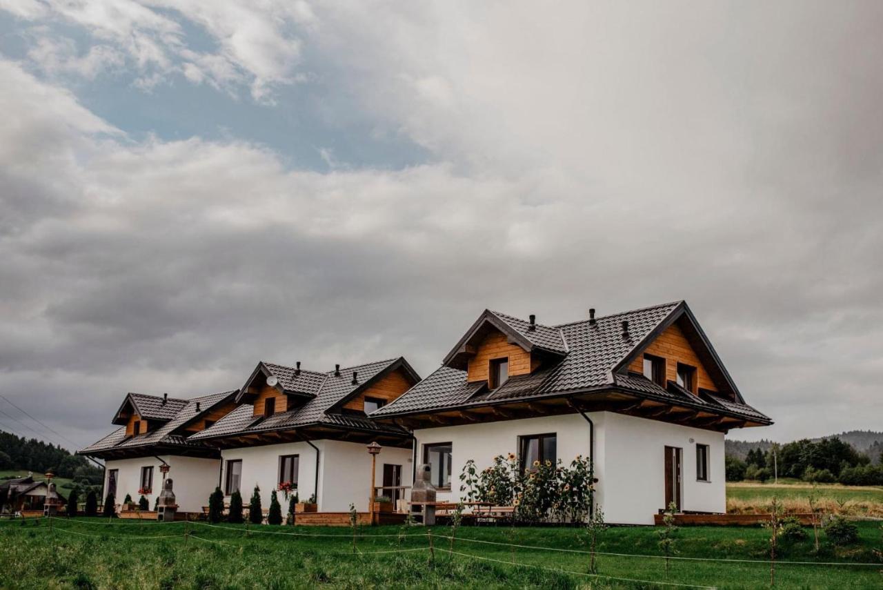 Domki Pod Wulkanem Krosnica  Esterno foto