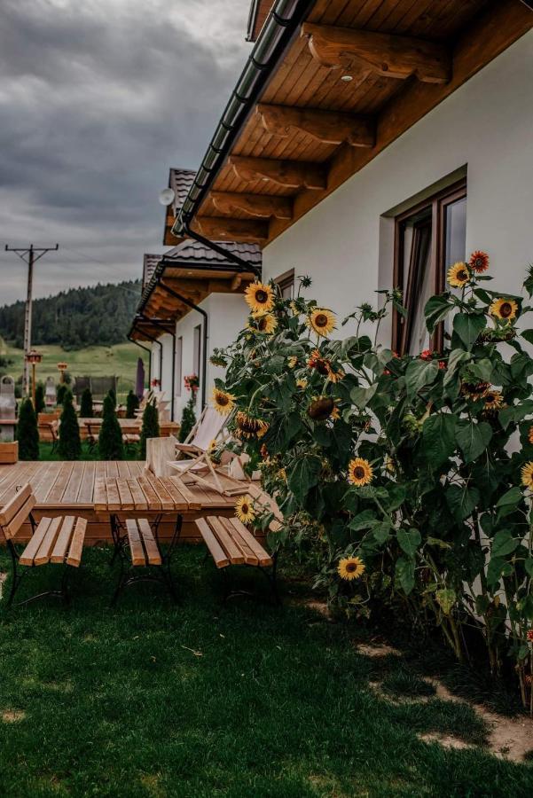 Domki Pod Wulkanem Krosnica  Esterno foto